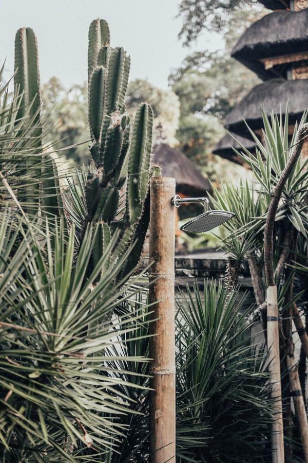The Seseh House Villa Canggu Exterior foto